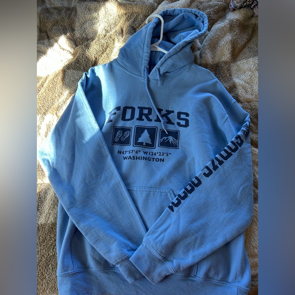 Blue Graphic Hoodie